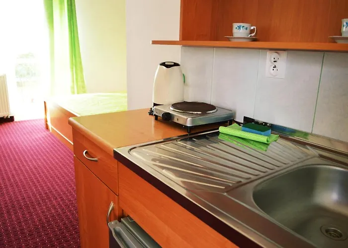 Goscinne Orka Guest house 3*